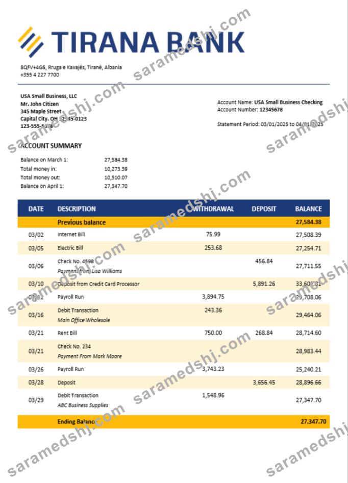 Tirana firm account statement Word and PDF template